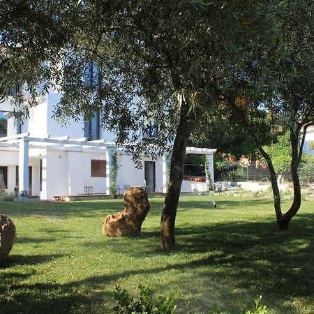 Villa La Conchiglia Rooms 卡拉·利贝罗托 外观 照片