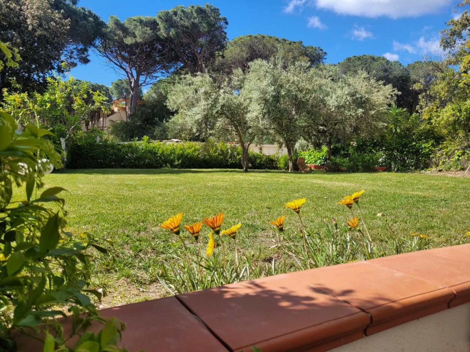 Villa La Conchiglia Rooms 卡拉·利贝罗托 外观 照片
